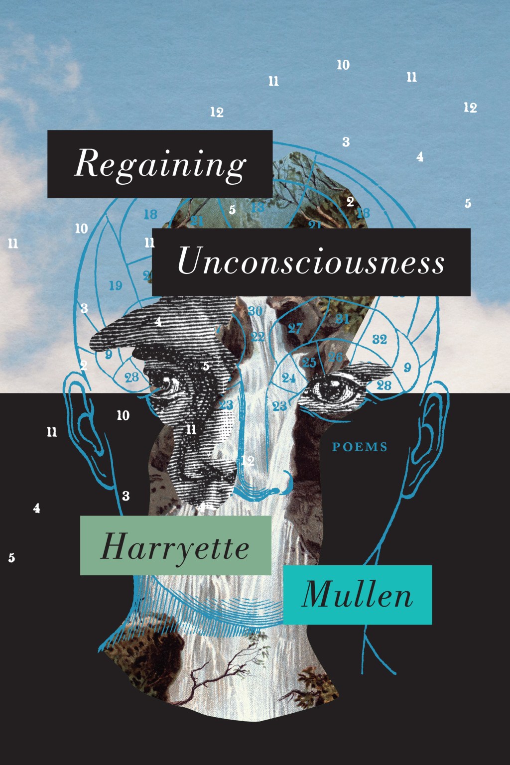 Paisley Conrad on Harryette Mullen’s Regaining Unconsciousness